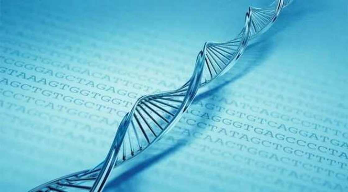 AC genotype symptoms AC genotype symptoms