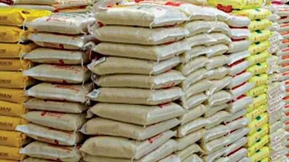 Labari mai dadi: Farashin shinkafa ya ragu da 25% a Maiduguri