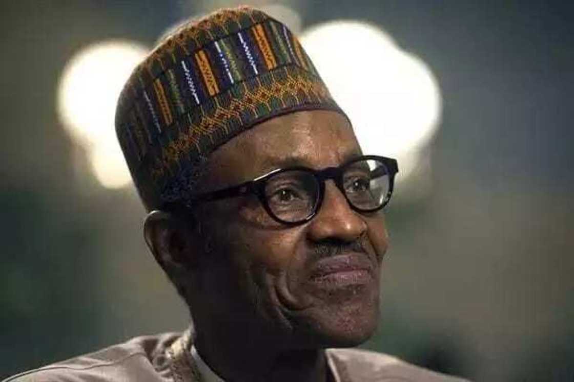 If Buhari is too old, let him step aside - Seyi Law spits fire If Buhari is too old, let him step aside - Seyi Law spits fire