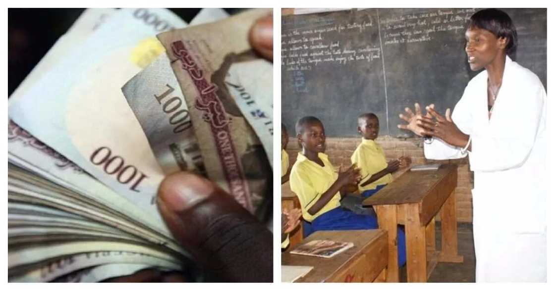 Teachers salary scale in Nigeria Teachers salary scale in Nigeria