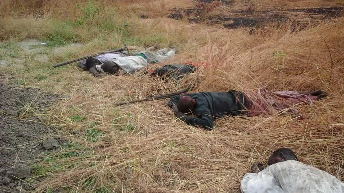 338 People Rescued From Boko Haram - Nigerian Army 338 People Rescued From Boko Haram - Nigerian Army
