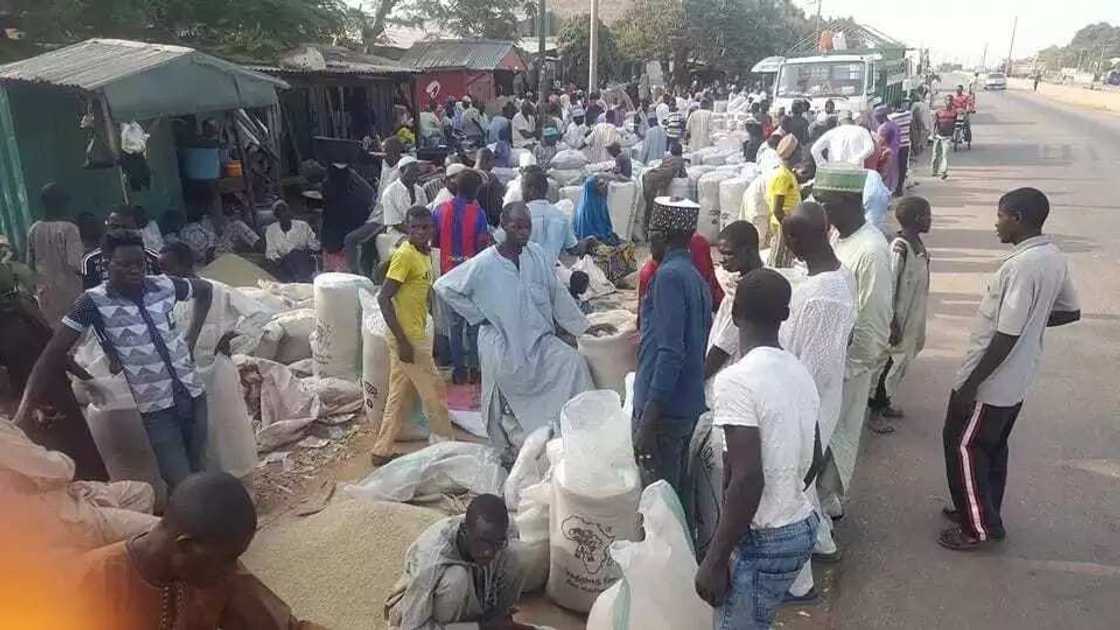 Farashin shinkafa zai fadi zuwa N6000 Farashin shinkafa zai fadi zuwa N6000