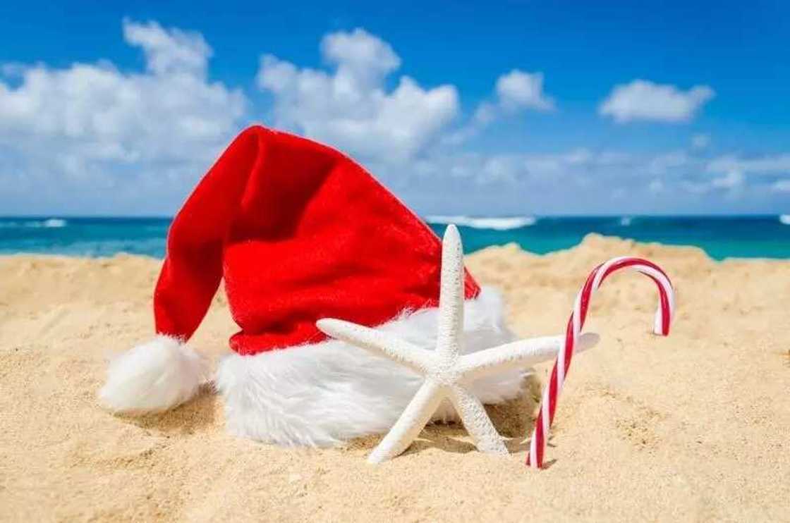 christmas christmas
