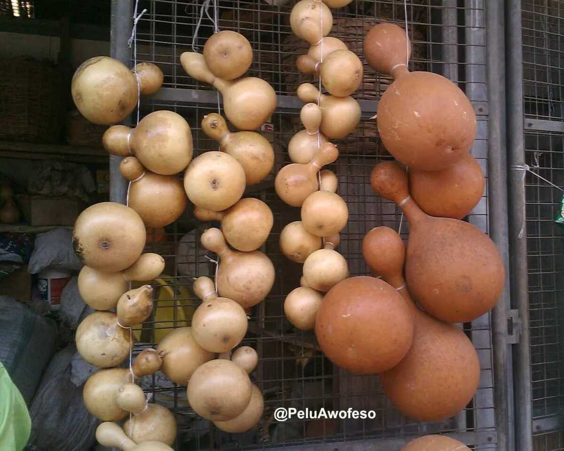 Travel Thursday: 7 Cultural Items Common To All Nigerians Travel Thursday: 7 Cultural Items Common To All Nigerians