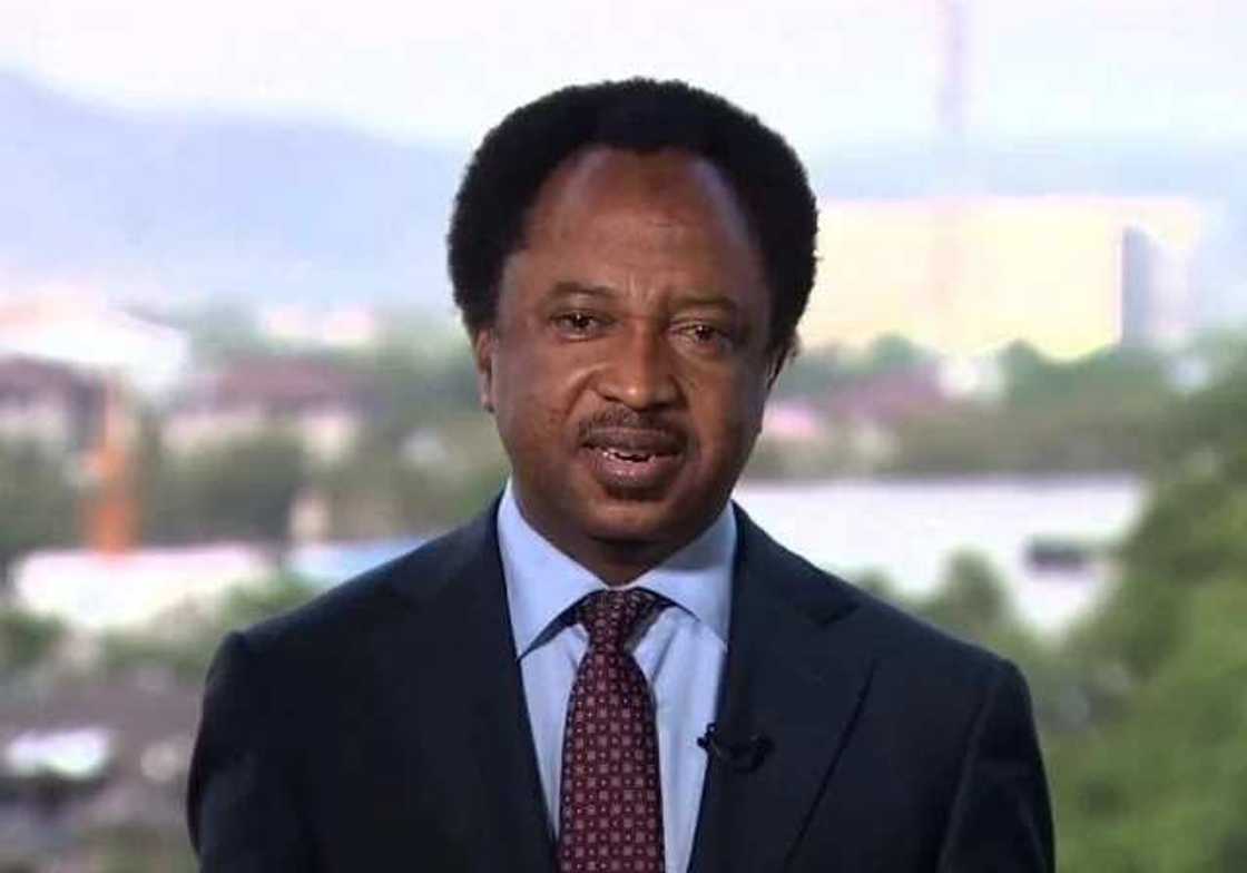 Rikicin Kaduna: APC ta soke dakatar da Sanata Shehu Sani daga Jam’iyya