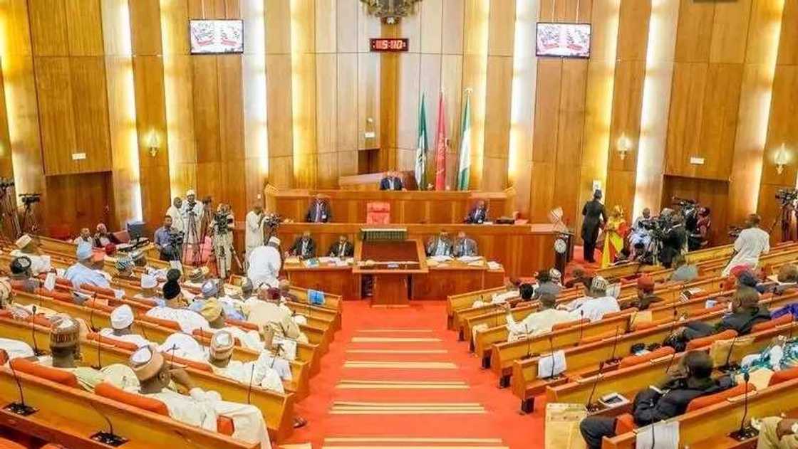 Yanzu Yanzu: Majalisar dattawa na bincike akan kisan jami’an yan sanda 7 da aka yi a Abuja Yanzu Yanzu: Majalisar dattawa na bincike akan kisan jami’an yan sanda 7 da aka yi a Abuja