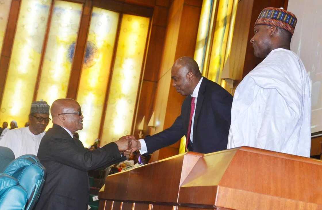 Zuma extols virtues of Buhari in fight against apartheid Zuma extols virtues of Buhari in fight against apartheid