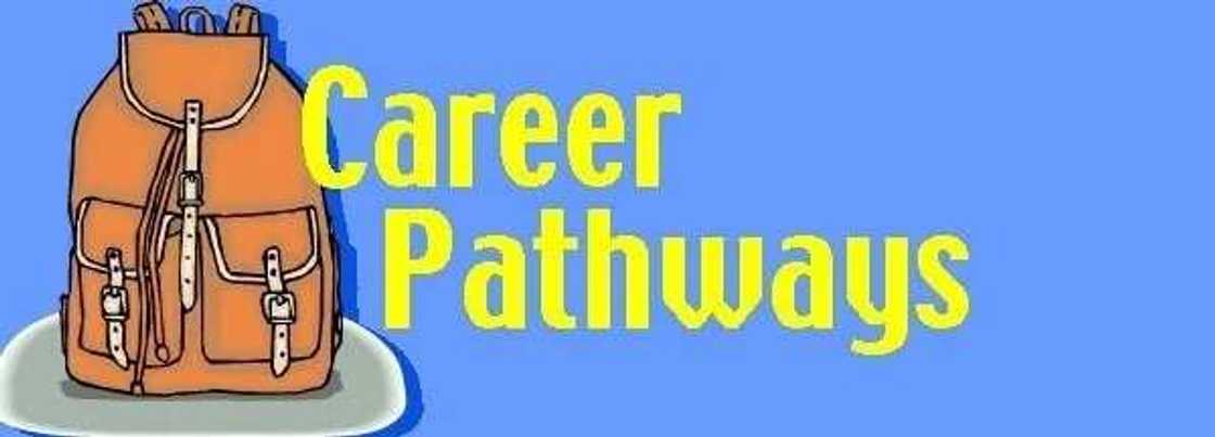 career career