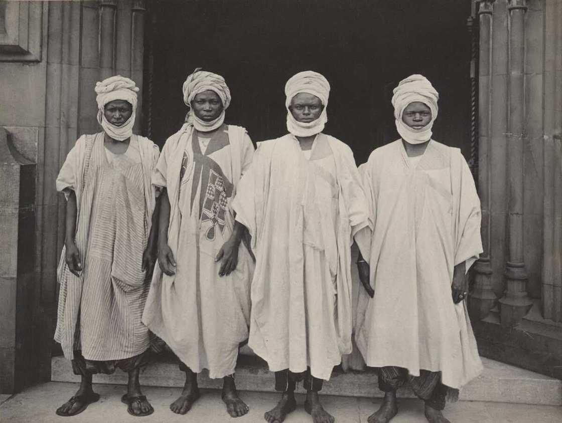 hausa hausa