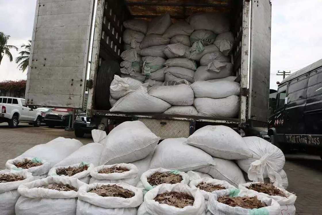 Hukumar Kwastan tayi wani wawan kamu yau a Legas Hukumar Kwastan tayi wani wawan kamu yau a Legas