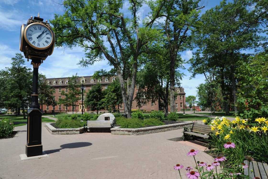 University of Prince Edward Island University of Prince Edward Island