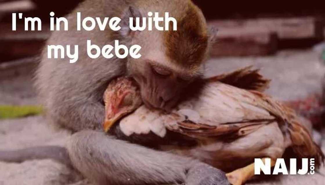 17 hilarious Nigerian pidgin proverbs and their meaning 17 hilarious Nigerian pidgin proverbs and their meaning