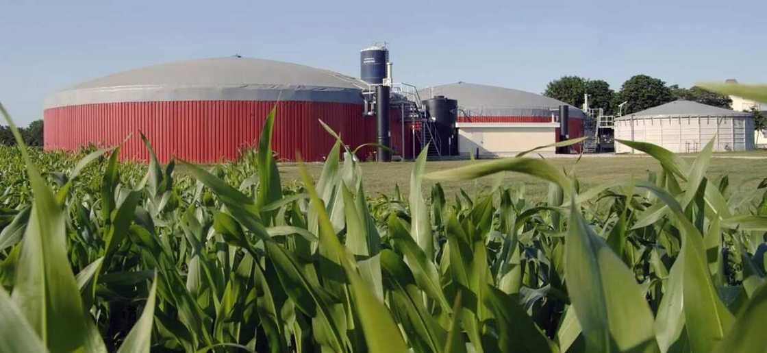 Green energy Green energy