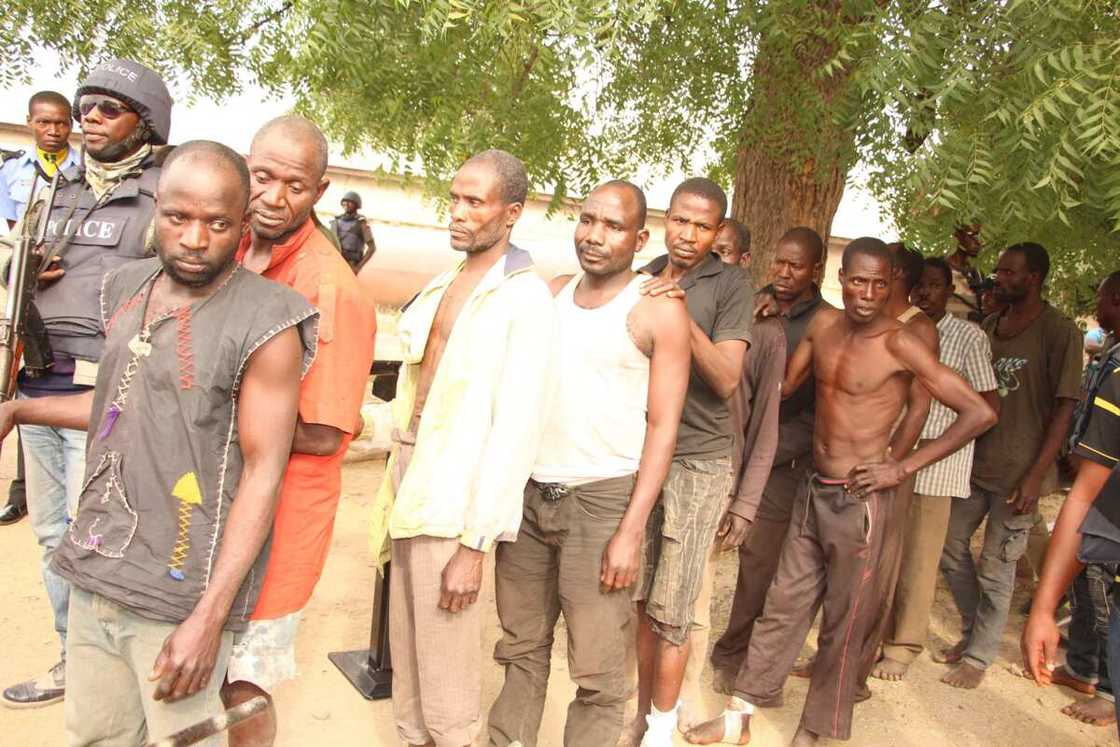 Police parade 13 militia/kidnap for ransom and armed robbery gangs in Minna Police parade 13 militia/kidnap for ransom and armed robbery gangs in Minna
