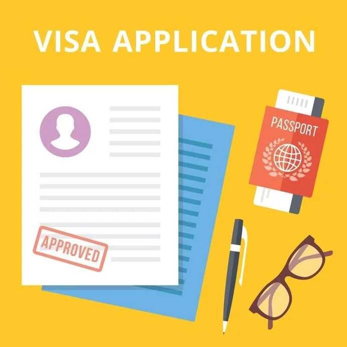 visa application