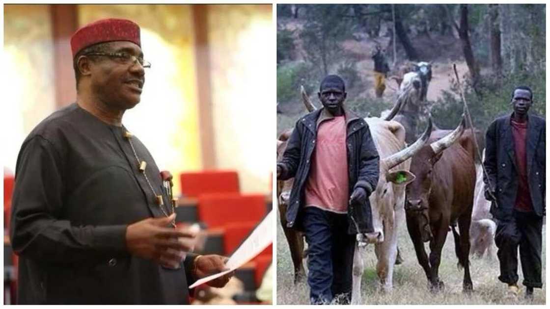 Rikicin makiyaya : APC bata san darajar rayuwar da Adam ba - Ohuabunwa Rikicin makiyaya : APC bata san darajar rayuwar da Adam ba - Ohuabunwa