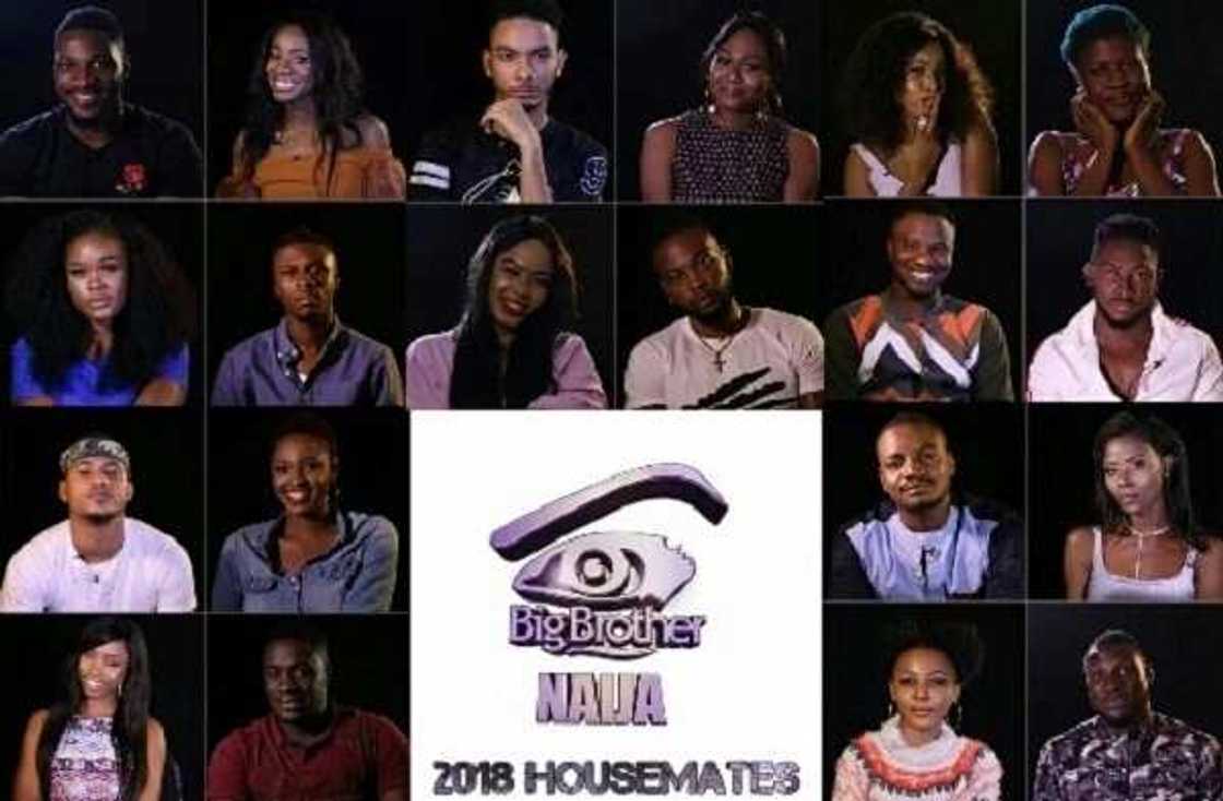 Big Brother Naija contestants 2018 Big Brother Naija contestants 2018