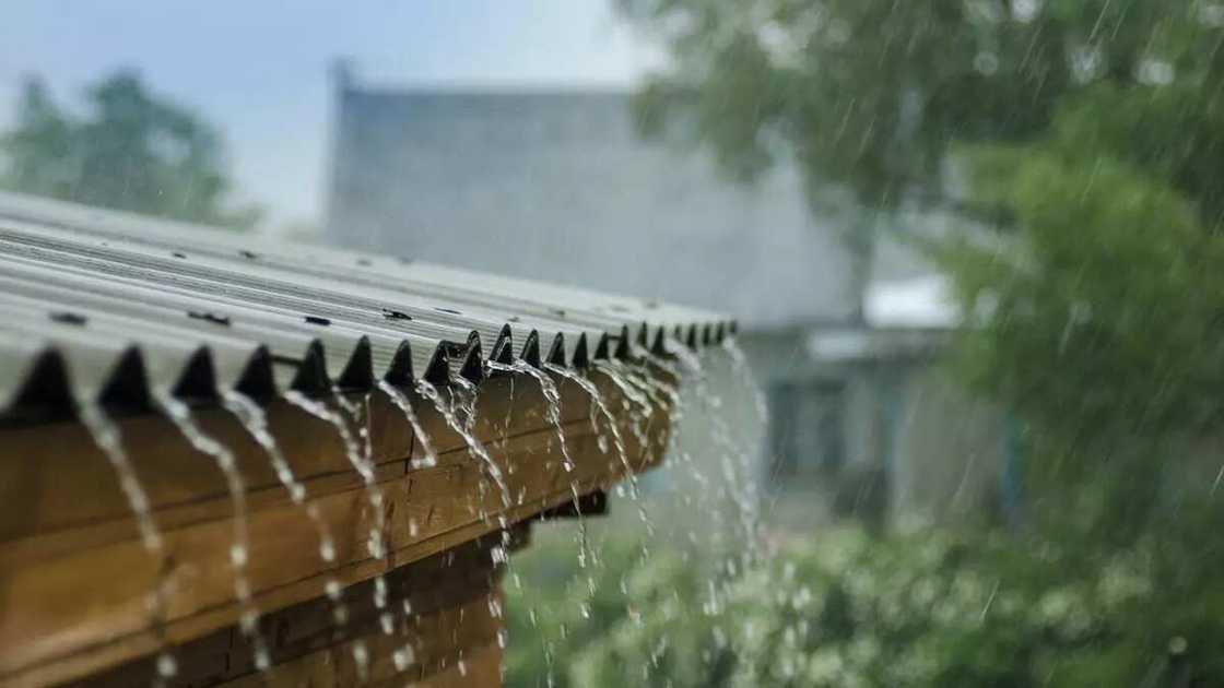 rainwater rainwater