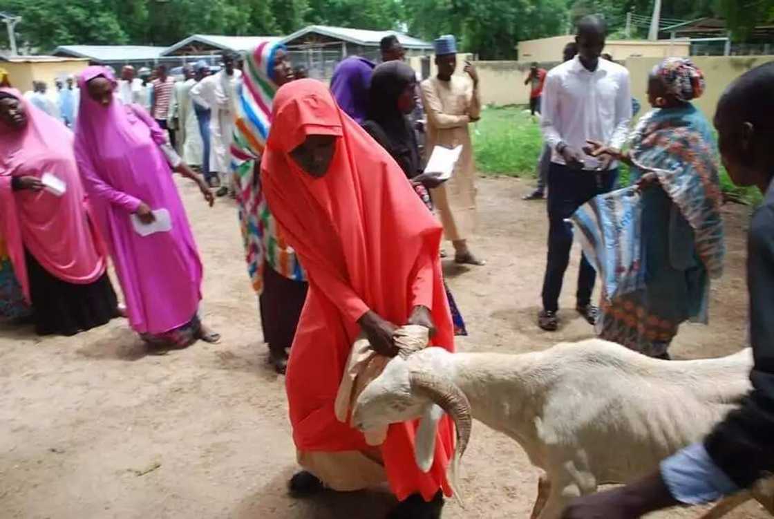 Babbar Sallah: Matar Gwamna Kashim Shettima ta yi rabon raguna 100 ga Malamai da gajiyayyu Babbar Sallah: Matar Gwamna Kashim Shettima ta yi rabon raguna 100 ga Malamai da gajiyayyu