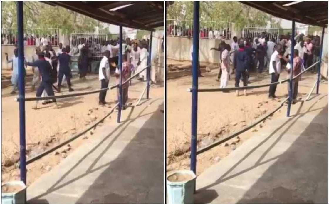 Borno students struggling to buy Jamb forms Borno students struggling to buy Jamb forms