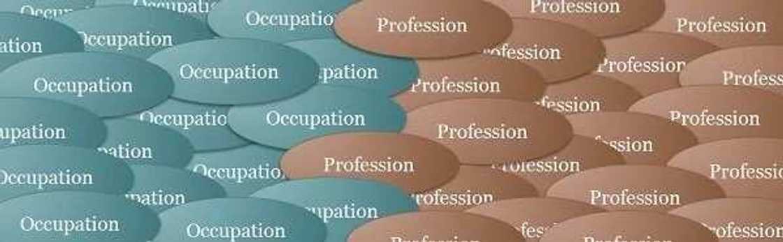 Difference between occupation and profession