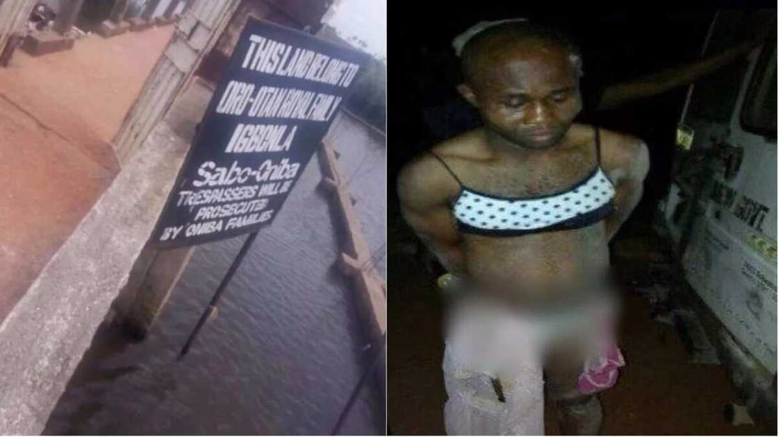 Duniya ina zaki damu: Jami'an yan sanda sun cafke yan luwadi 42 a wani otel din Najeria Duniya ina zaki damu: Jami'an yan sanda sun cafke yan luwadi 42 a wani otel din Najeria