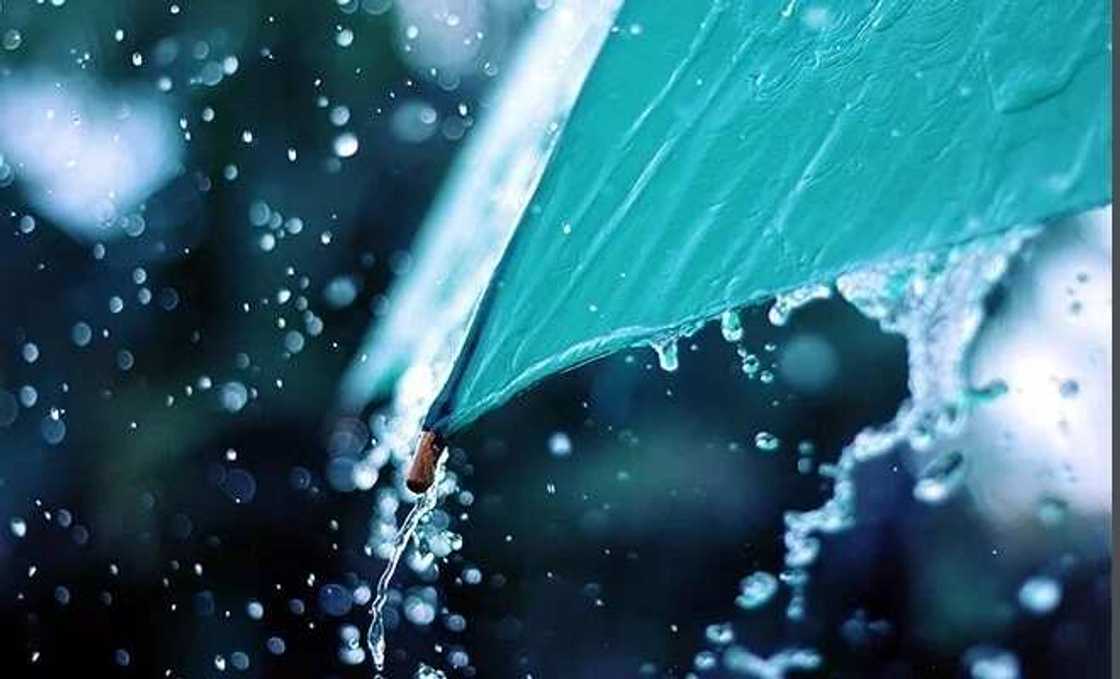 Rainy season in Nigeria Rainy season in Nigeria