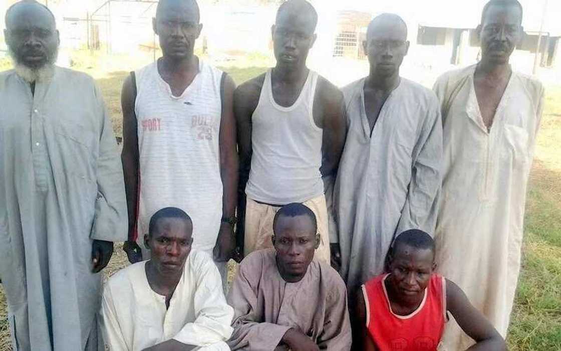 BH: 8 Terrorists Surrender To Nigerian Army BH: 8 Terrorists Surrender To Nigerian Army