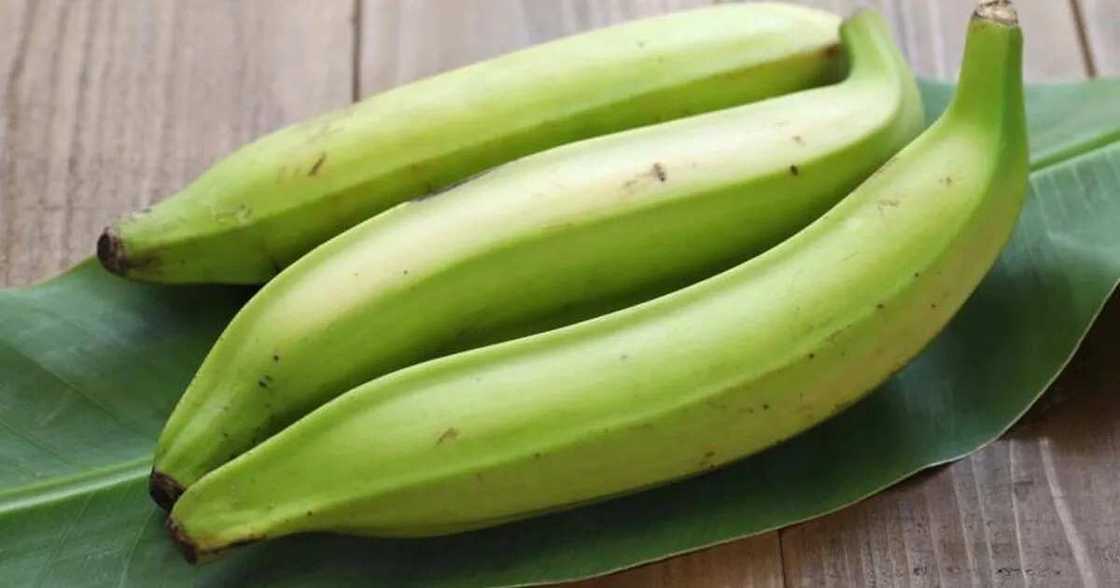 unripe plantain unripe plantain