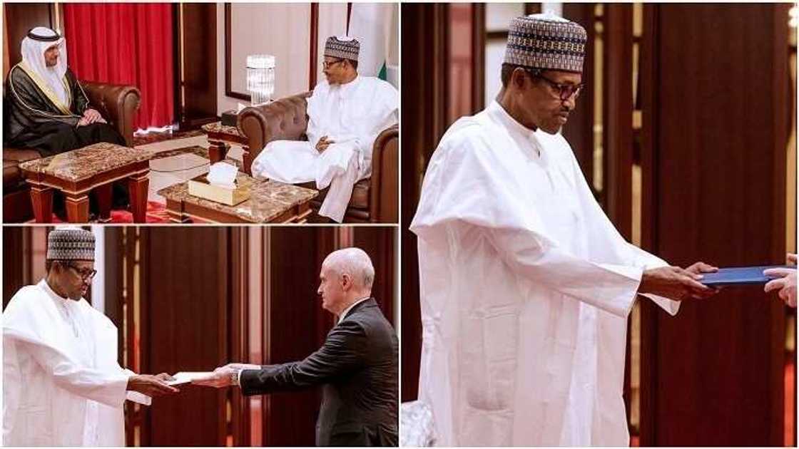 Buhari ya amshi sabbin jakadun kasashen Duniya 5 da suka turo Najeriya Buhari ya amshi sabbin jakadun kasashen Duniya 5 da suka turo Najeriya