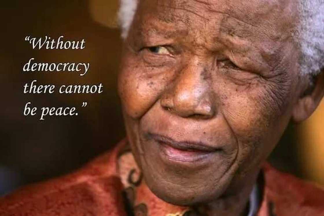 Importance of election in democracy: it is important to have peace Importance of election in democracy: it is important to have peace