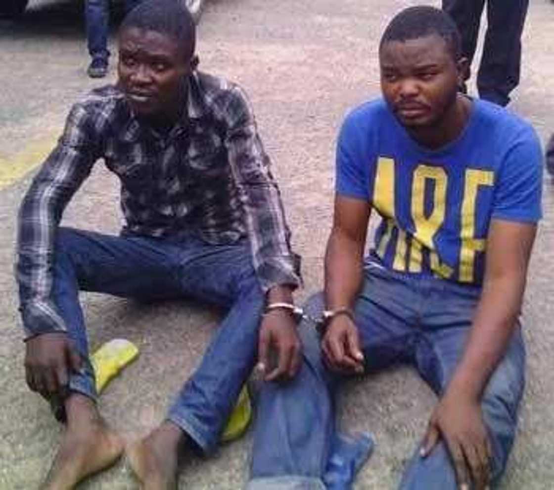 Two Cooks Poison Family Two Cooks Poison Family