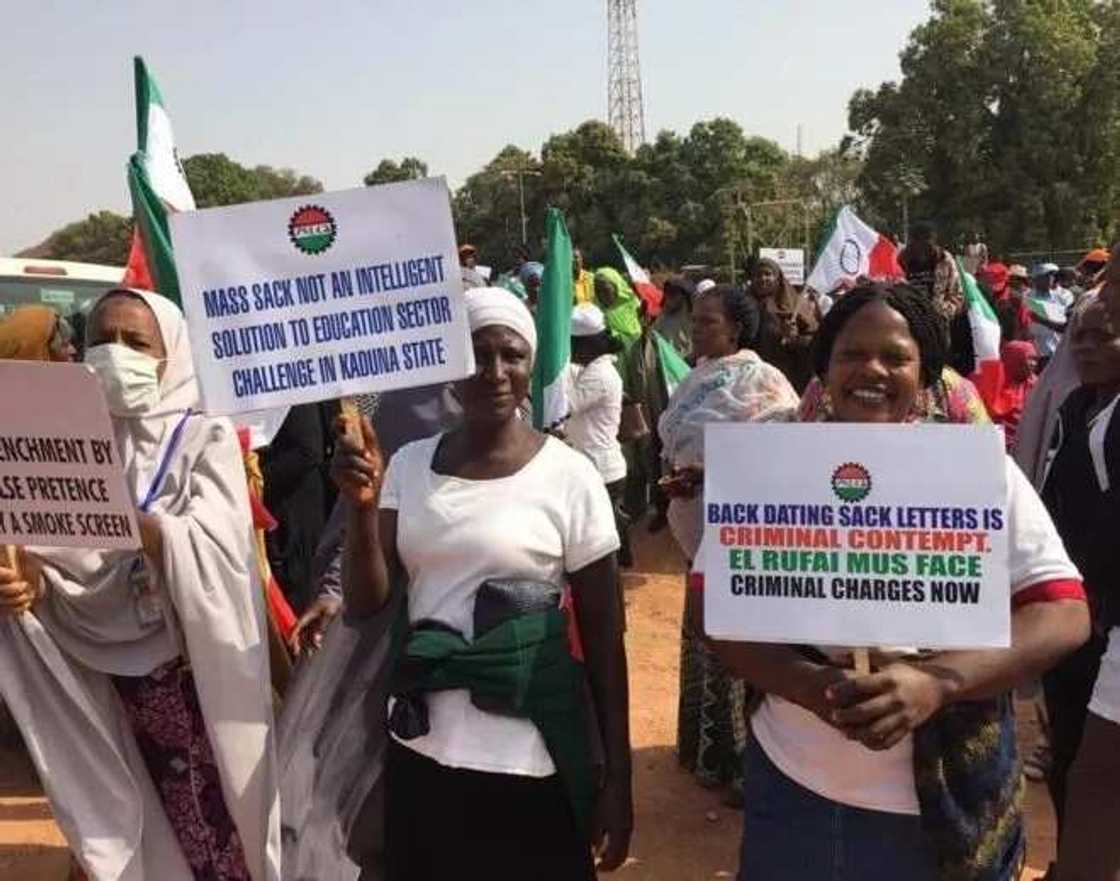 Gani ya kori ji: Dubi yadda kungiyar kwadago da ma'aikata ke gudanar da zanga-zanga a jihar Kaduna Gani ya kori ji: Dubi yadda kungiyar kwadago da ma'aikata ke gudanar da zanga-zanga a jihar Kaduna