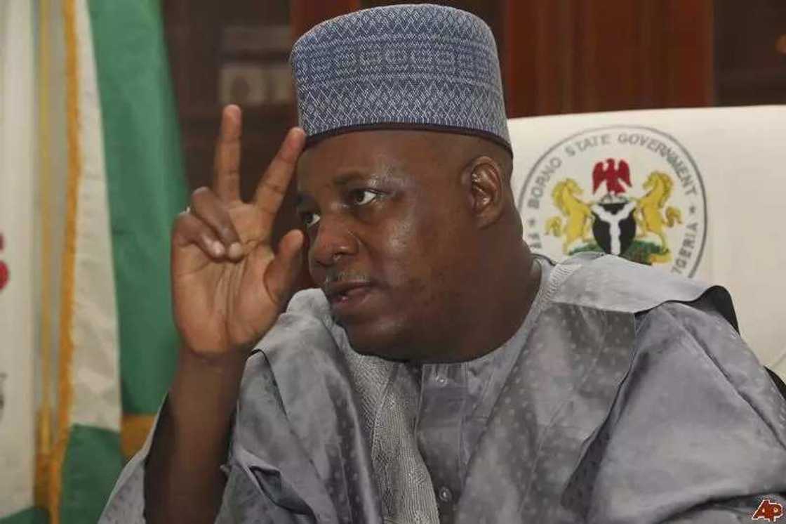 2019 : Kashim Shettima yana kokwanton neman kujerar sanata