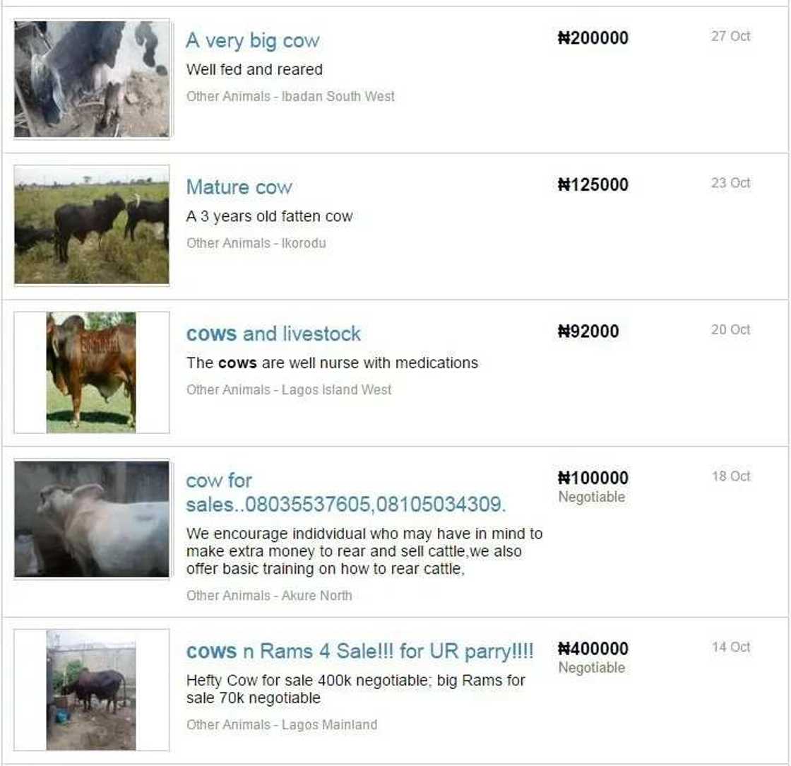 Controversies Trail Buhari’s Assets Declaration Controversies Trail Buhari’s Assets Declaration