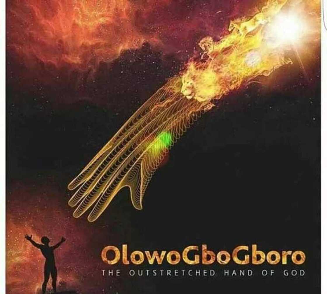 Olowogbogboro Olowogbogboro