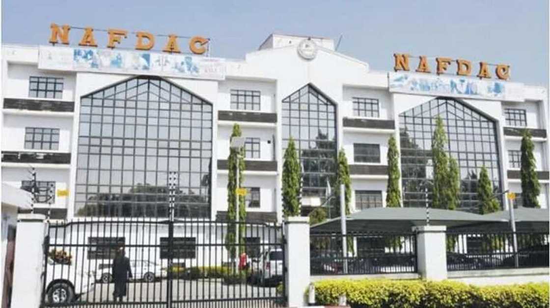 NAFDAC ta garkame gidajen gasa mummuki guda 24 a Borno NAFDAC ta garkame gidajen gasa mummuki guda 24 a Borno