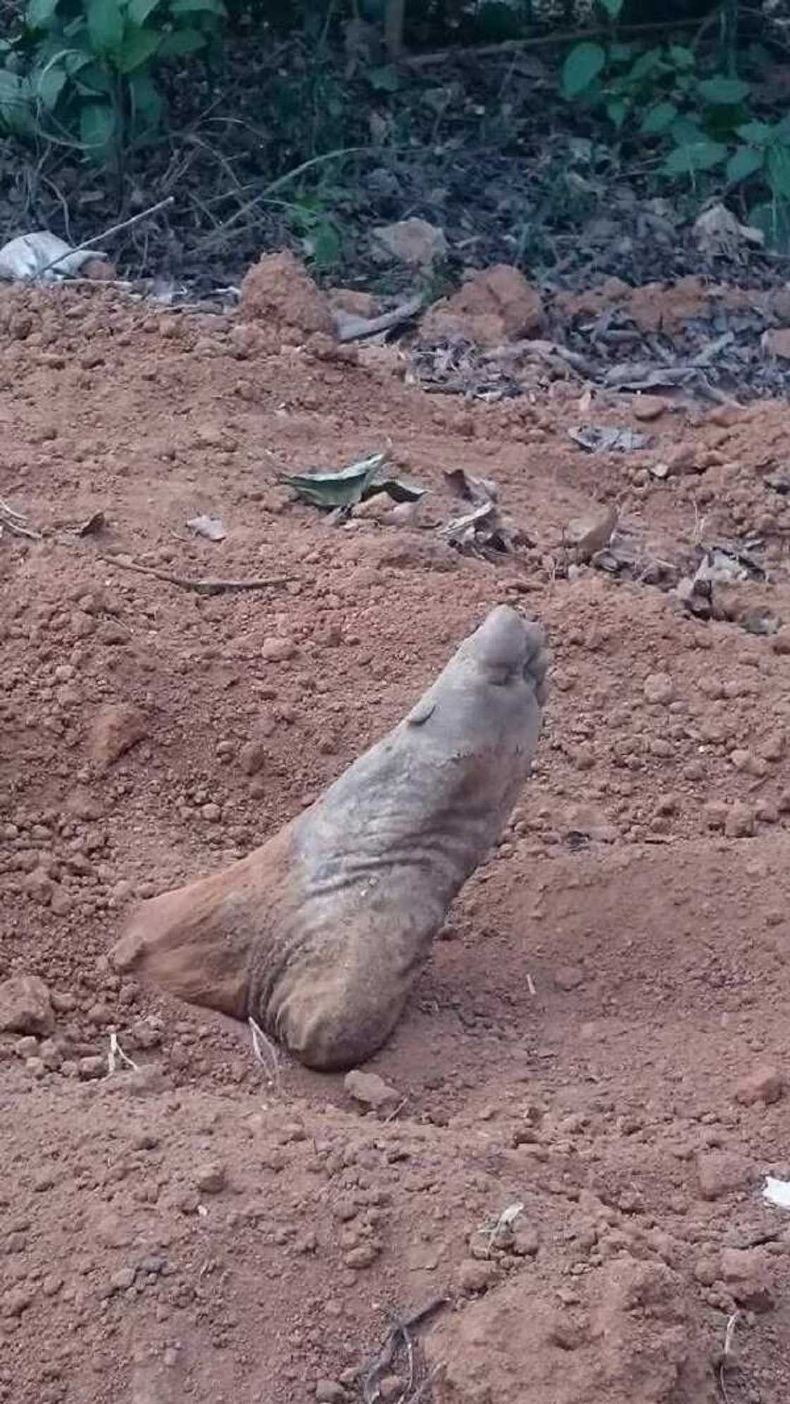 Imota Cemetery of horror Imota Cemetery of horror