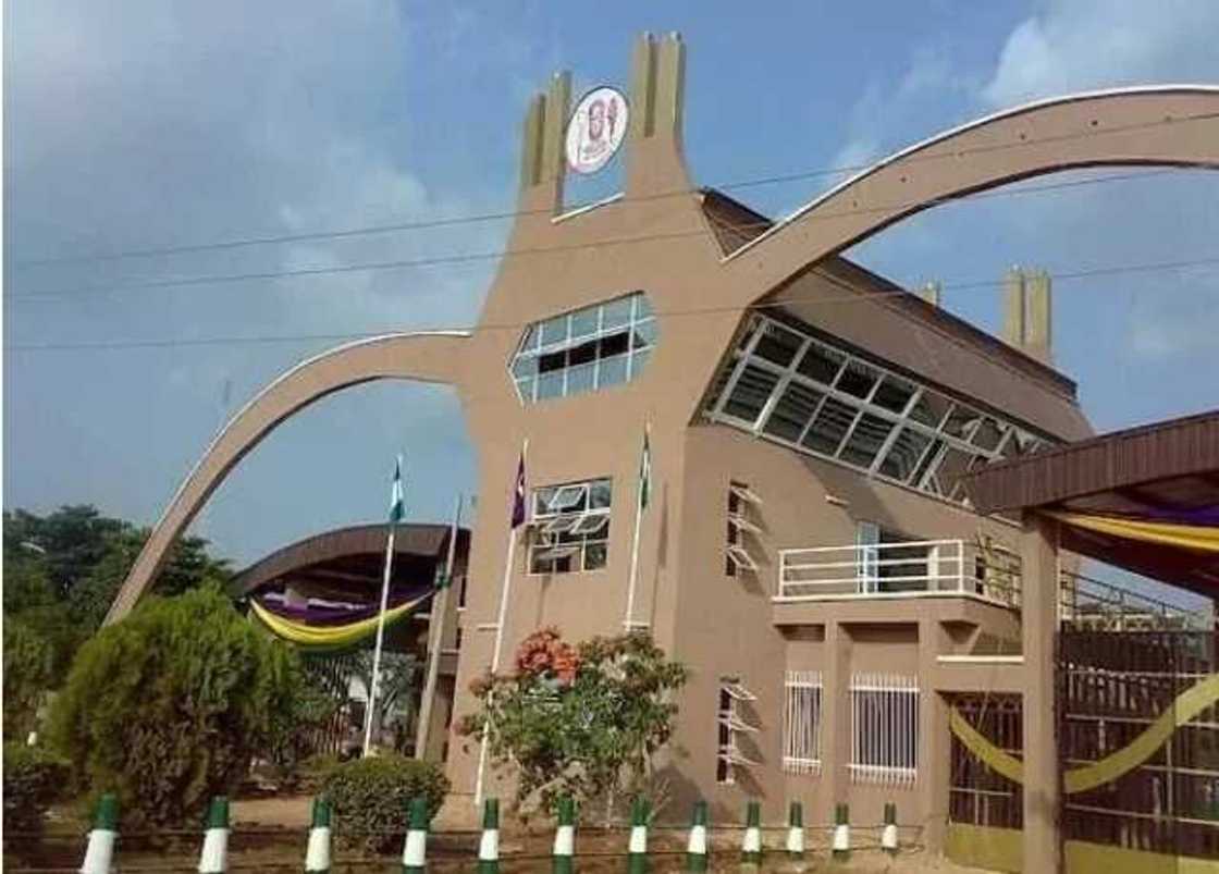 Duba jerin jami'o'i mafi nagarta a Najeriya kamar yadda NUC ta fitar Duba jerin jami'o'i mafi nagarta a Najeriya kamar yadda NUC ta fitar