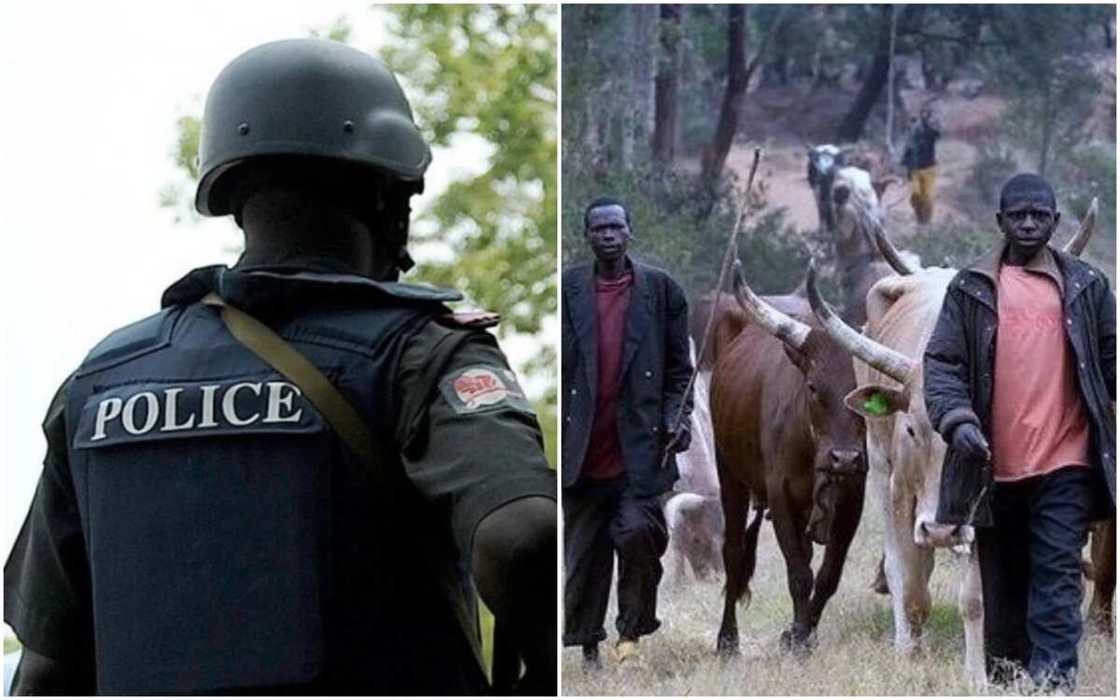 Kungiyar Miyetti Allah ta daina bata sunan Fulani - Shugaban 'yan sanda Kungiyar Miyetti Allah ta daina bata sunan Fulani - Shugaban 'yan sanda