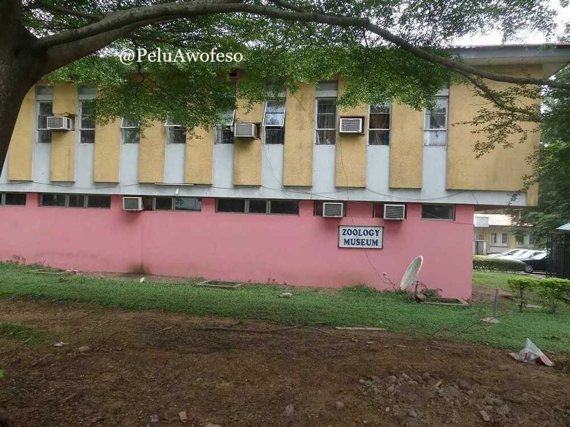 Travel Thursday: 11 Museums In Nigeria You Need To See Travel Thursday: 11 Museums In Nigeria You Need To See