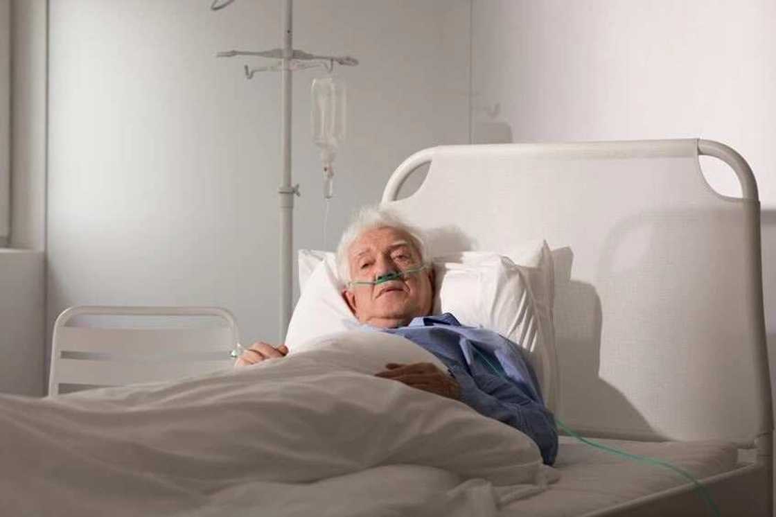 Ex-CIA agent confesses, reveals the gift he gave Bob Marley led to his death Ex-CIA agent confesses, reveals the gift he gave Bob Marley led to his death