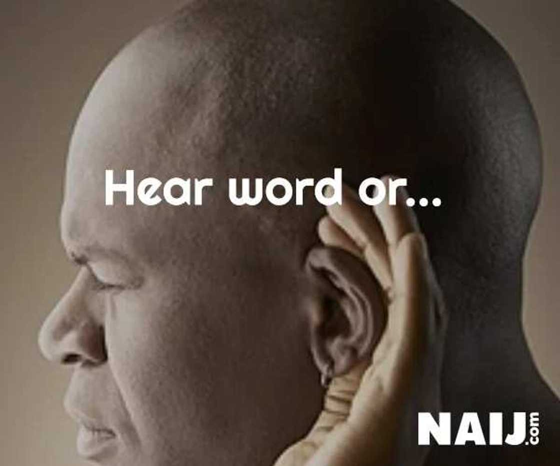 17 hilarious Nigerian pidgin proverbs and their meaning 17 hilarious Nigerian pidgin proverbs and their meaning