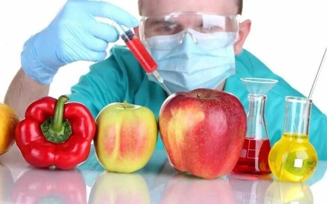 An ja kunnen gwamnati game da shigo da amfanin gona da aka sarrafa su da ilimin kimiyya An ja kunnen gwamnati game da shigo da amfanin gona da aka sarrafa su da ilimin kimiyya