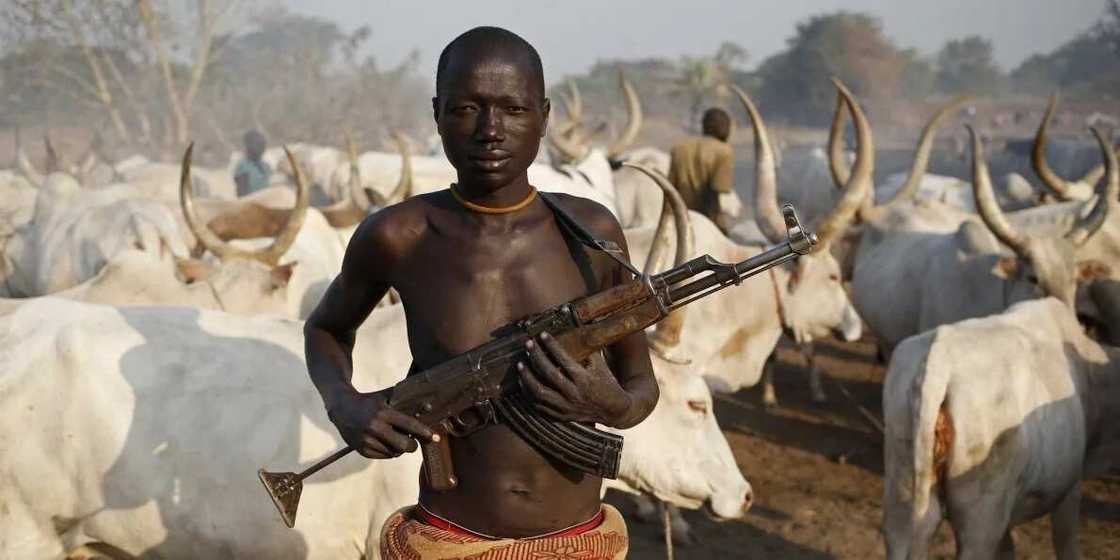 History of Fulani Herdsmen in Nigeria History of Fulani Herdsmen in Nigeria