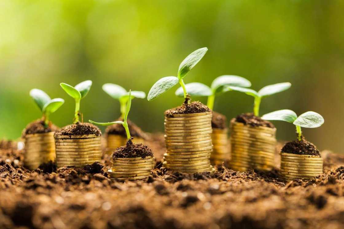Top 10 indicators of economic development in a country Top 10 indicators of economic development in a country