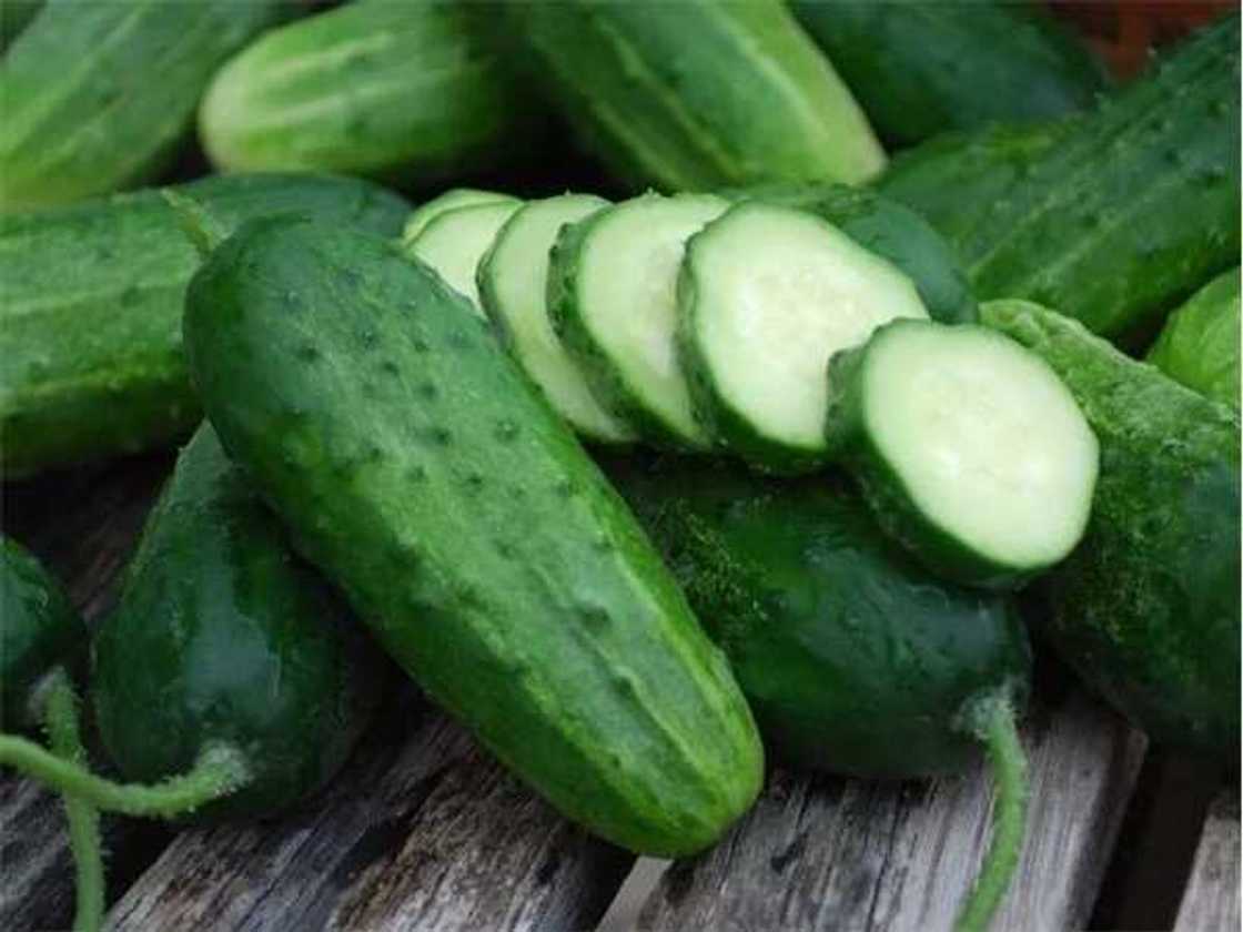 15 health benefits of cucumber