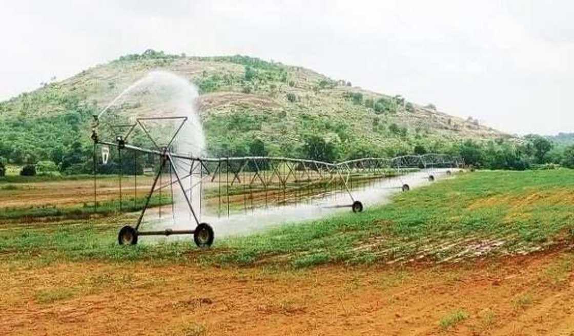 Irrigation farming - traveling gun Irrigation farming - traveling gun