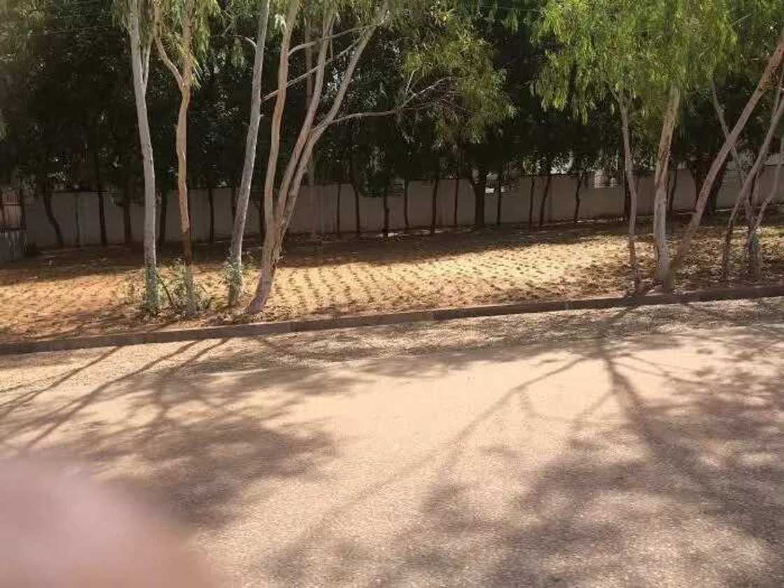 Hausa History: Daura, Kusugu Well And Bayajidda Myth Hausa History: Daura, Kusugu Well And Bayajidda Myth