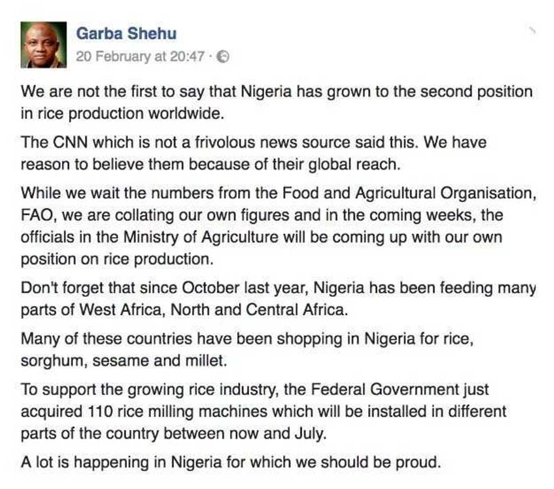 Reports show Nigeria is not second largest producer of rice Reports show Nigeria is not second largest producer of rice